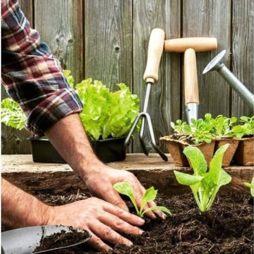 Premium Potting Soil - 20L Bag