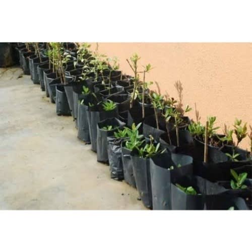 Grow Plant Nursery Bags - 10x12 Inches -100 Pieces