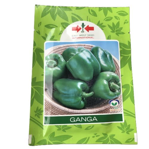 Green Bell Pepper Seeds (ganga) - 10g