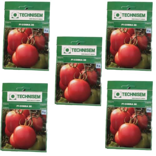 Hybrid Tomato Seeds - 5g - 5 Sachets