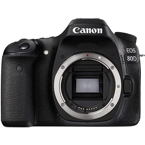 24mp Eos 80d Camera With 18-135mm Lens
