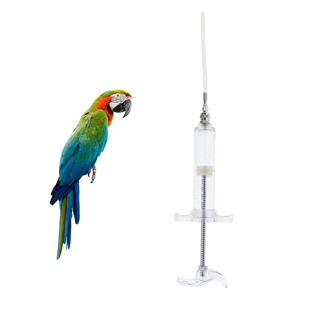 Reusable Bird Finch Gavage Feeding Parrot Macaw Rearing