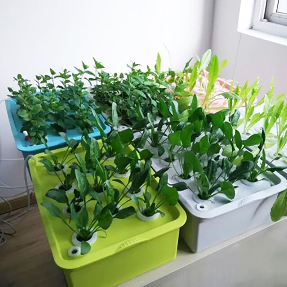 6 Holes Plant Site Hydroponic Garden Pots Planters System Indoor Garden Cabinet Box Grow Kit Bubble Nursery Pots 220V110V 1 Set