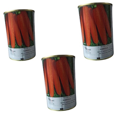 Nantes Carrot Seeds - 100 Grams - 3 Tins