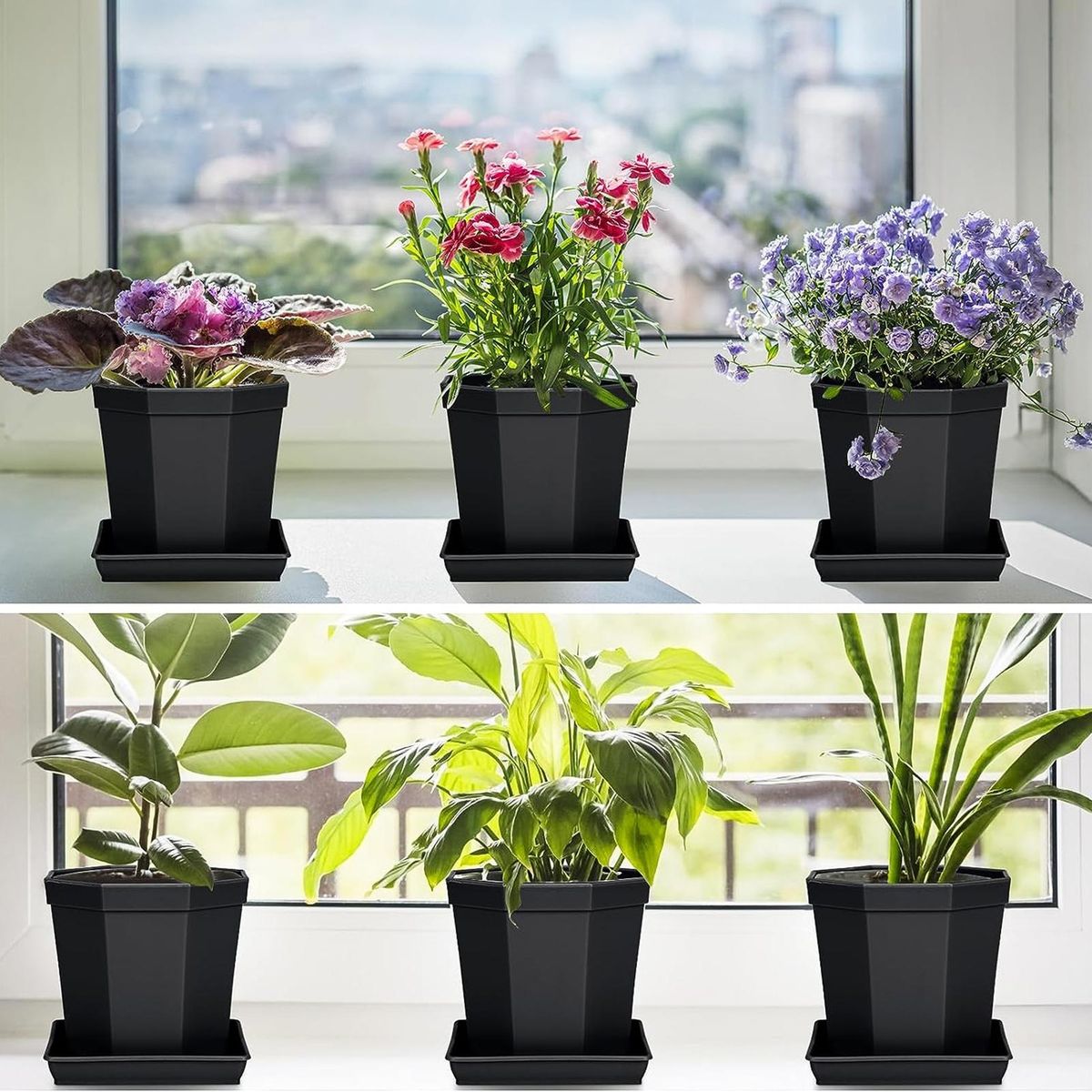 Durable Plant Tray Square Plant Saucers 5 Pack Plastic for Indoor Black