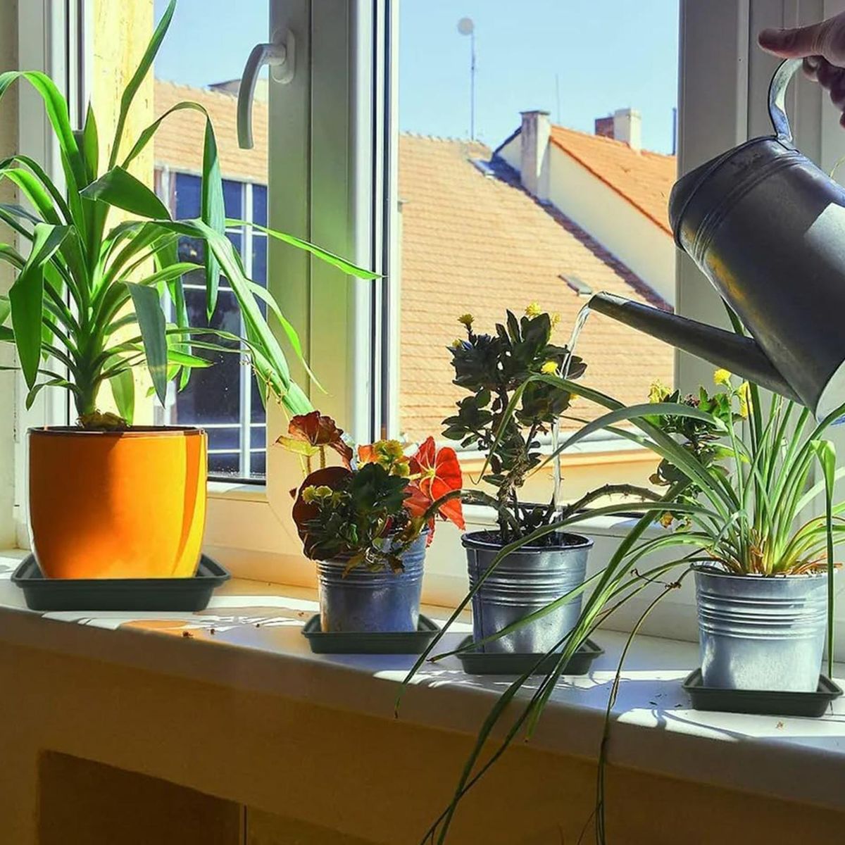 Durable Plant Tray Square Plant Saucers 5 Pack Plastic for Indoor Black