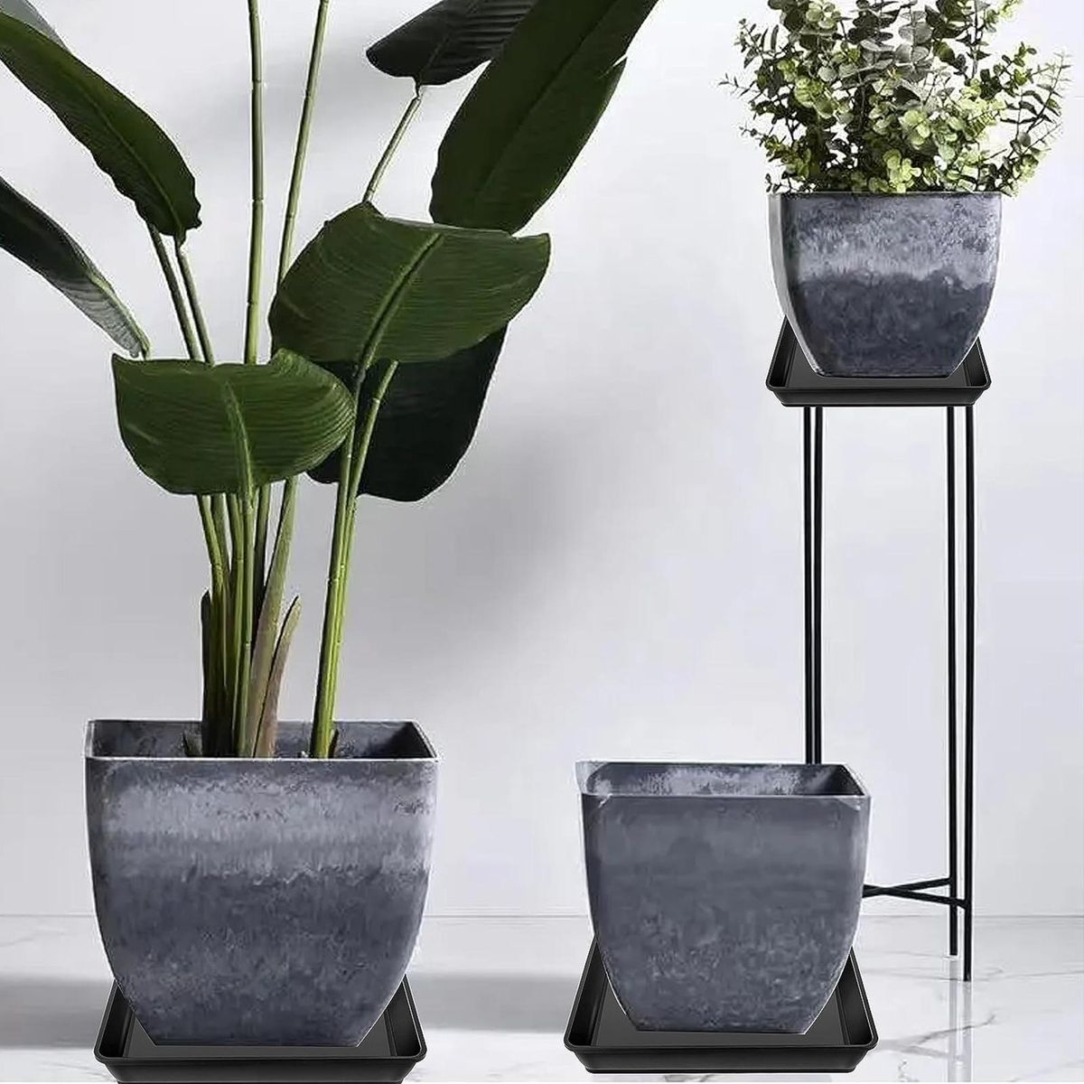 Durable Plant Tray Square Plant Saucers 5 Pack Plastic for Indoor Black