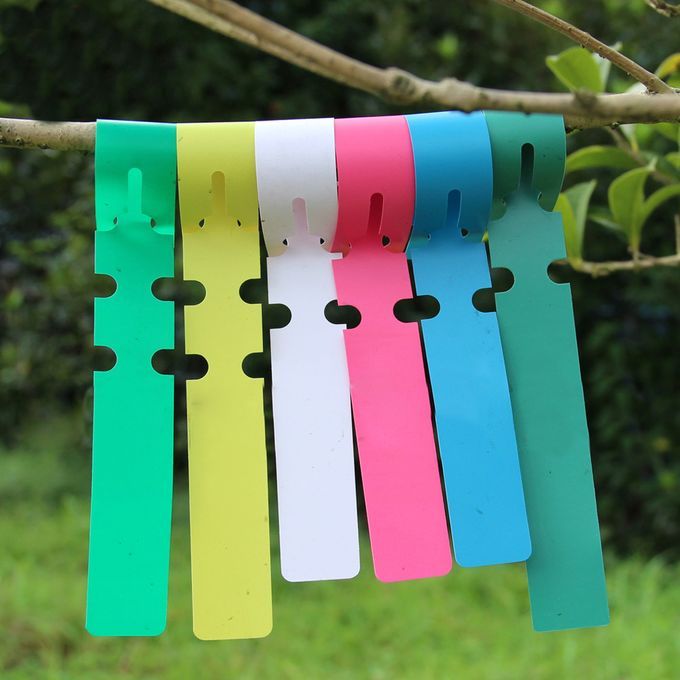 100pcs PVC Plant Stake Labels Garden Supplies Markers Tag Plant White