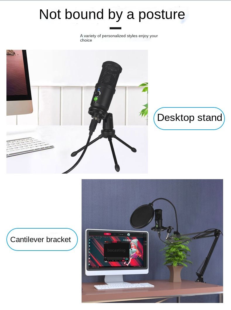 Anchor K Song Recording Live Broadcast Equipment Set