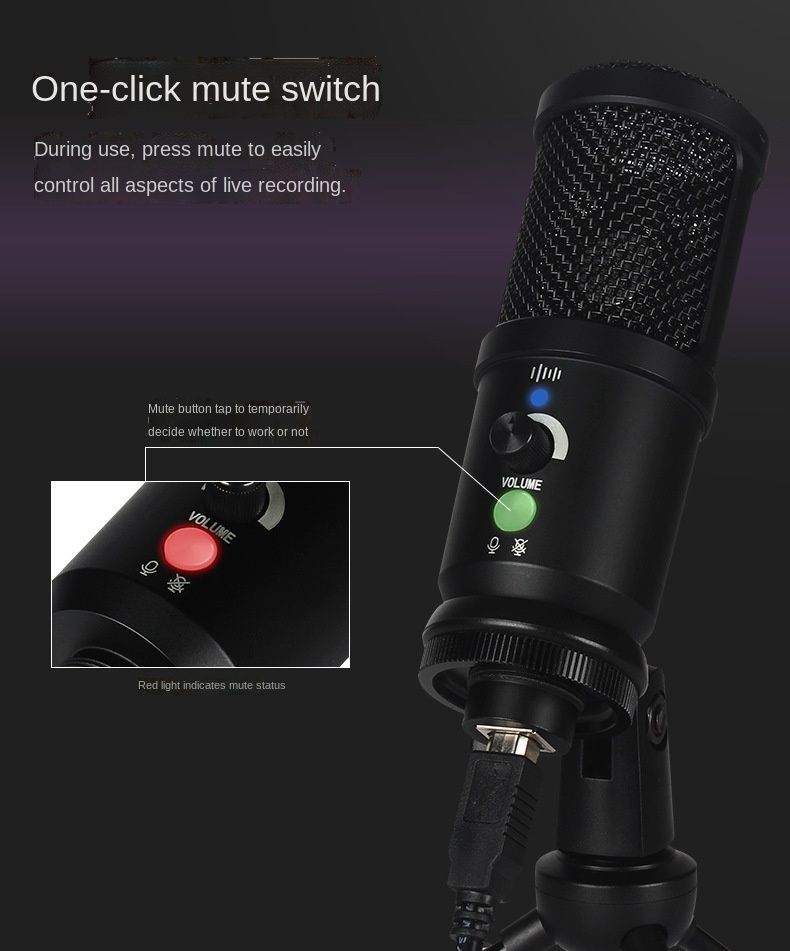Anchor K Song Recording Live Broadcast Equipment Set