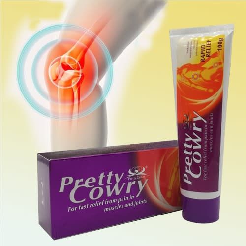 Pain Relief Ointment - Pain Arthritis - 100g