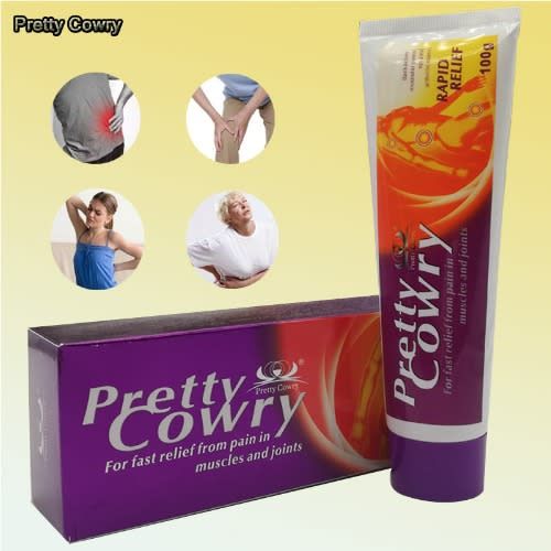 Pain Relief Ointment - Pain Arthritis - 100g