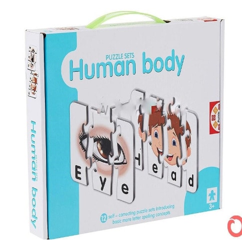 Human Body Puzzle Set