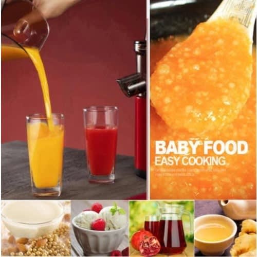 Multifunctional Professional Whole Slow Juicer