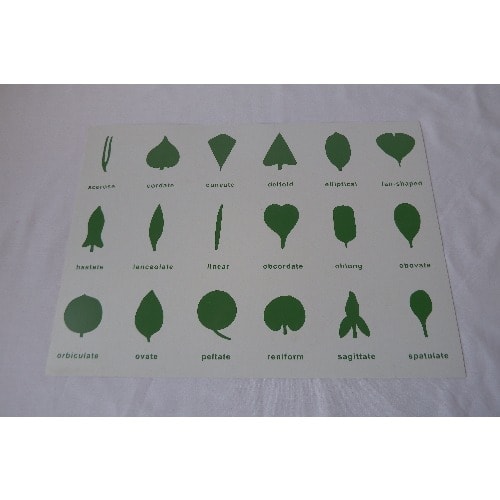 Botany Cabinet Control Chart