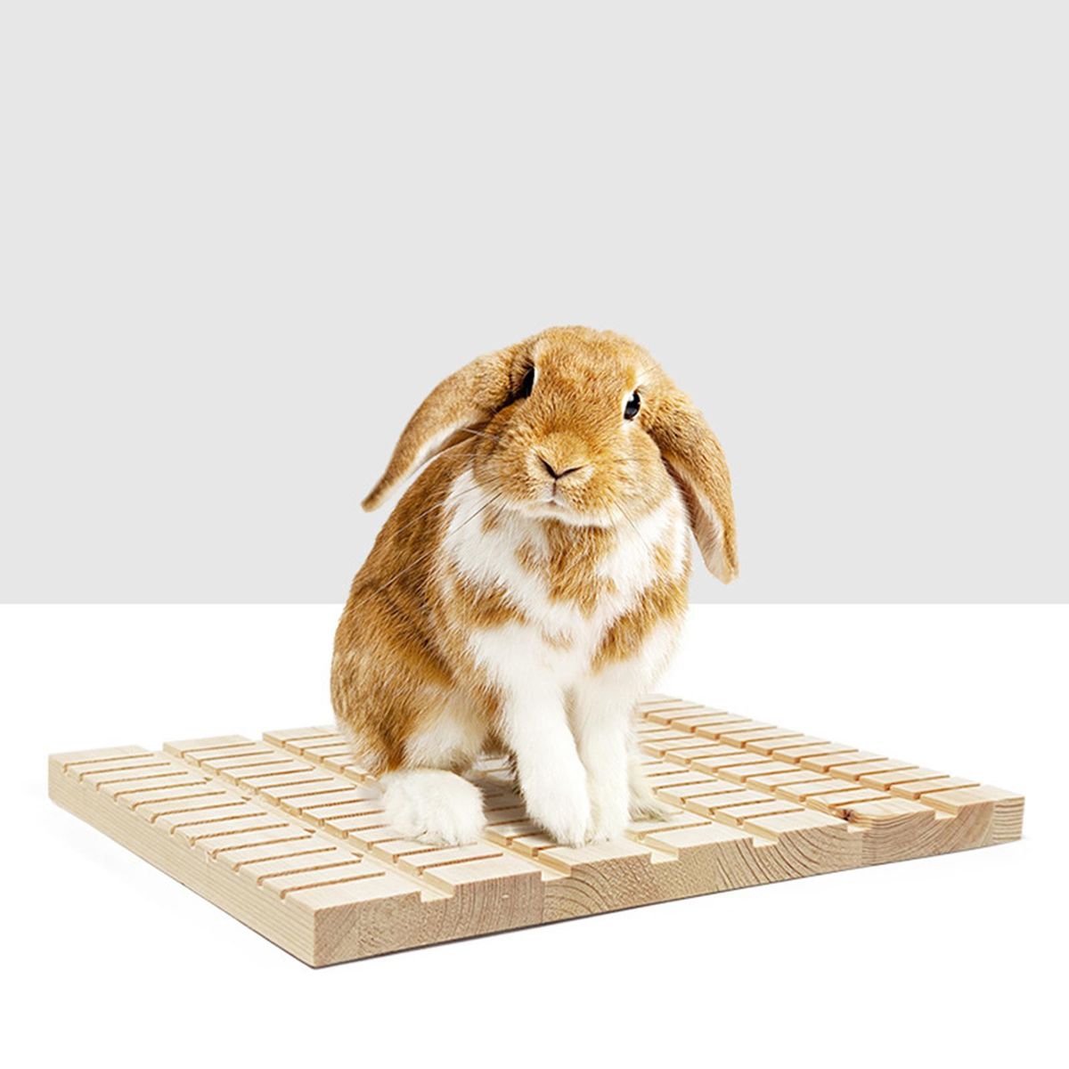 Rabbit  Claws Care Anti Skid Nail Tool Play Toy