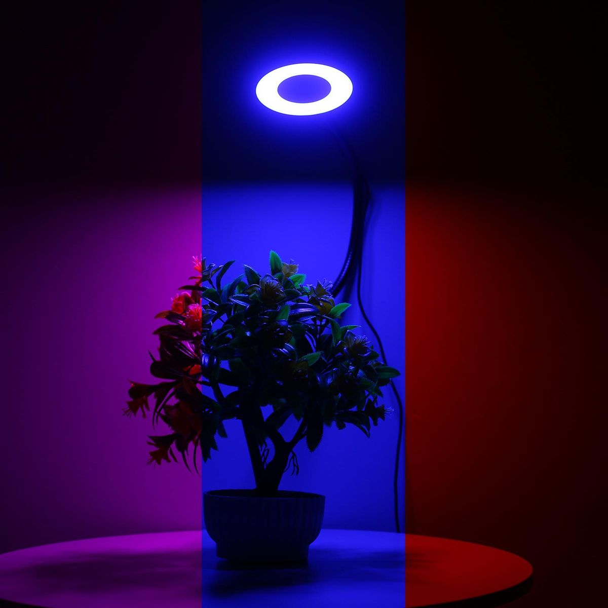 LED Grow Ring Light for Indoor Plants with 3 Light Modes 10 Levels Brightness USB Powered Inserted Plant Growing Lamps with Flexible Metal Hose for Succulent Plants Seedlings Flowers