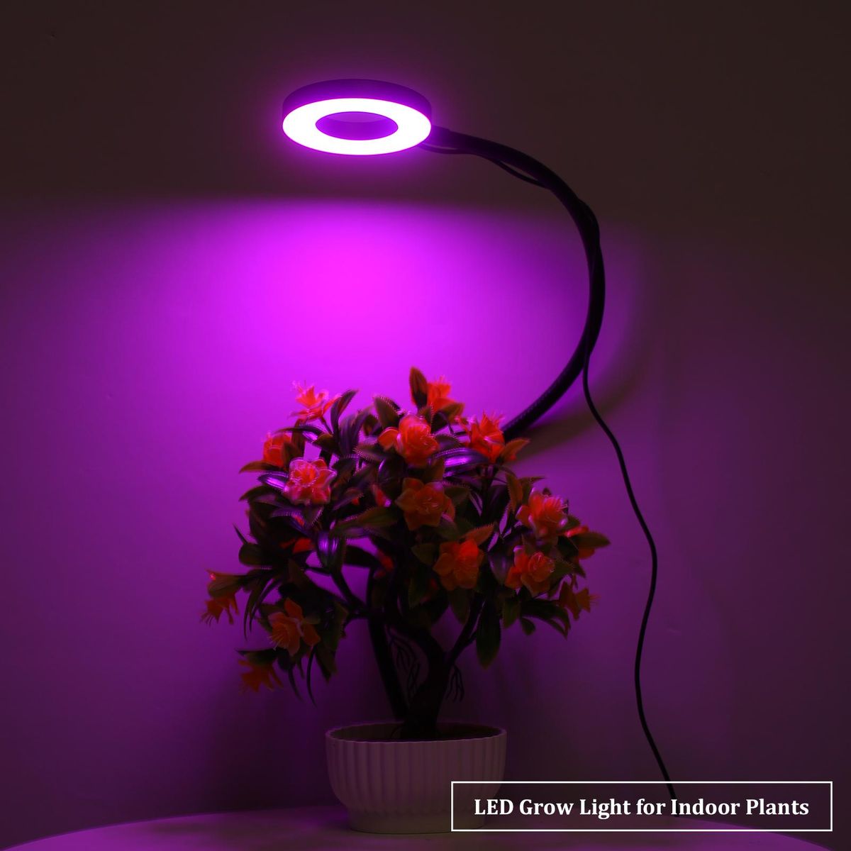 LED Grow Ring Light for Indoor Plants with 3 Light Modes 10 Levels Brightness USB Powered Inserted Plant Growing Lamps with Flexible Metal Hose for Succulent Plants Seedlings Flowers