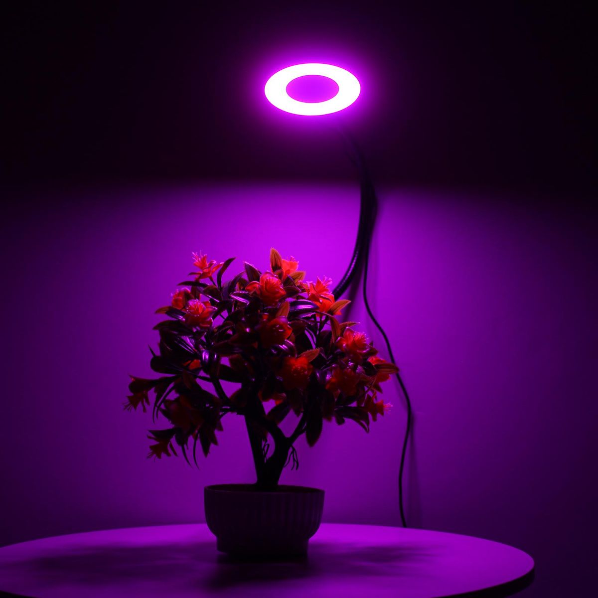 LED Grow Ring Light for Indoor Plants with 3 Light Modes 10 Levels Brightness USB Powered Inserted Plant Growing Lamps with Flexible Metal Hose for Succulent Plants Seedlings Flowers