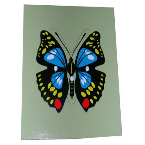 Montessori Butterfly Puzzle--Multicolour--No