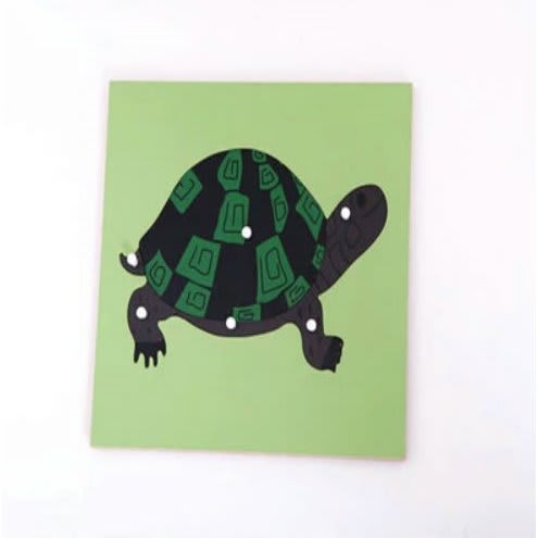 Montessori Turtle Puzzle--Multicolour--No