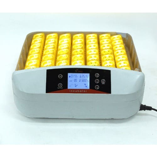 56 Eggs Chicken Automatic Egg Incubator