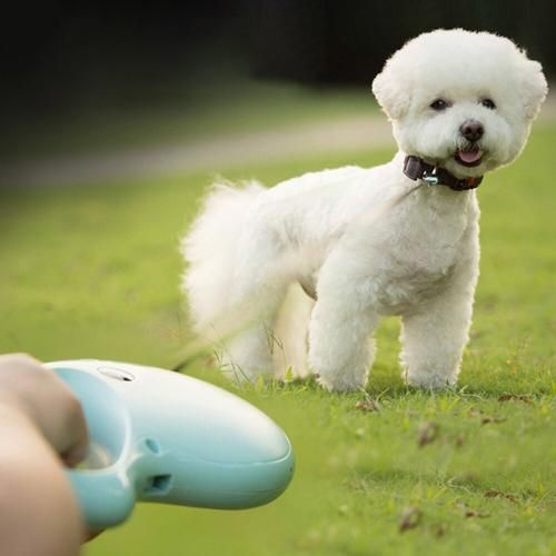 Roulette Leash For Dog 5m Dog Leash Lead Automatic Retractable Leashs For Small Medium Dogs Cat Traction Rope Lead Supplies
