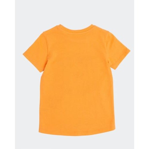 Baby Boy Tee & Shorts Set