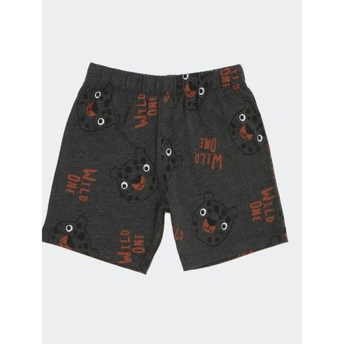Baby Boy Tee & Shorts Set