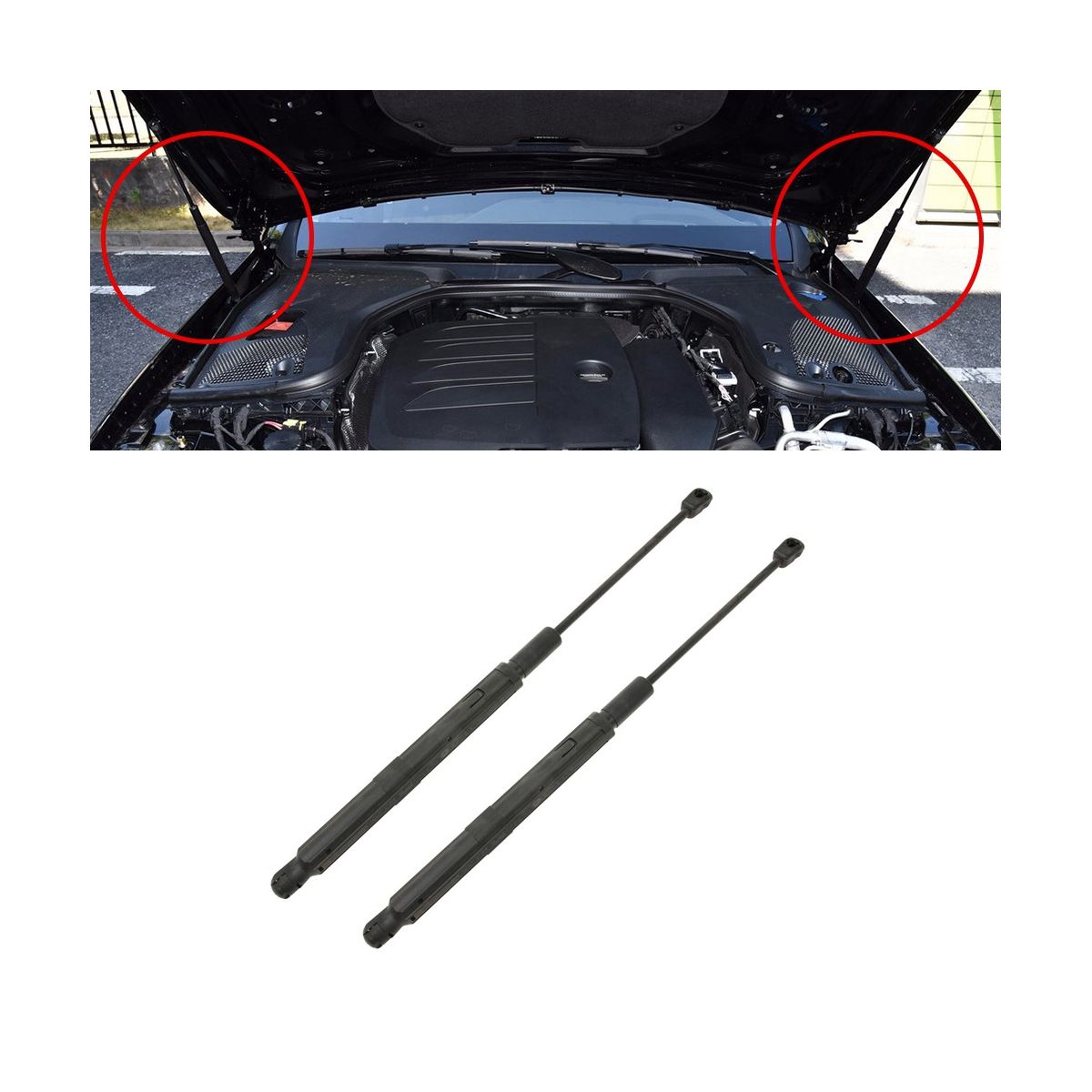 1 Pair Set of Left & Right Hood Struts for Mercedes-Benz