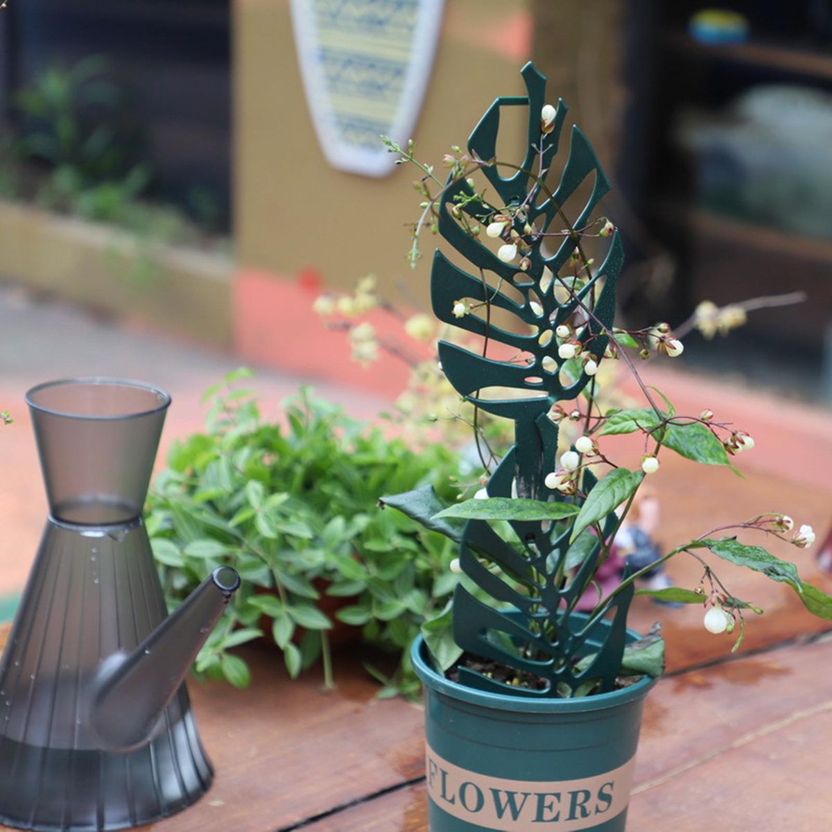 Plants Vine Support Decorative Potted Plants Climbing Holder