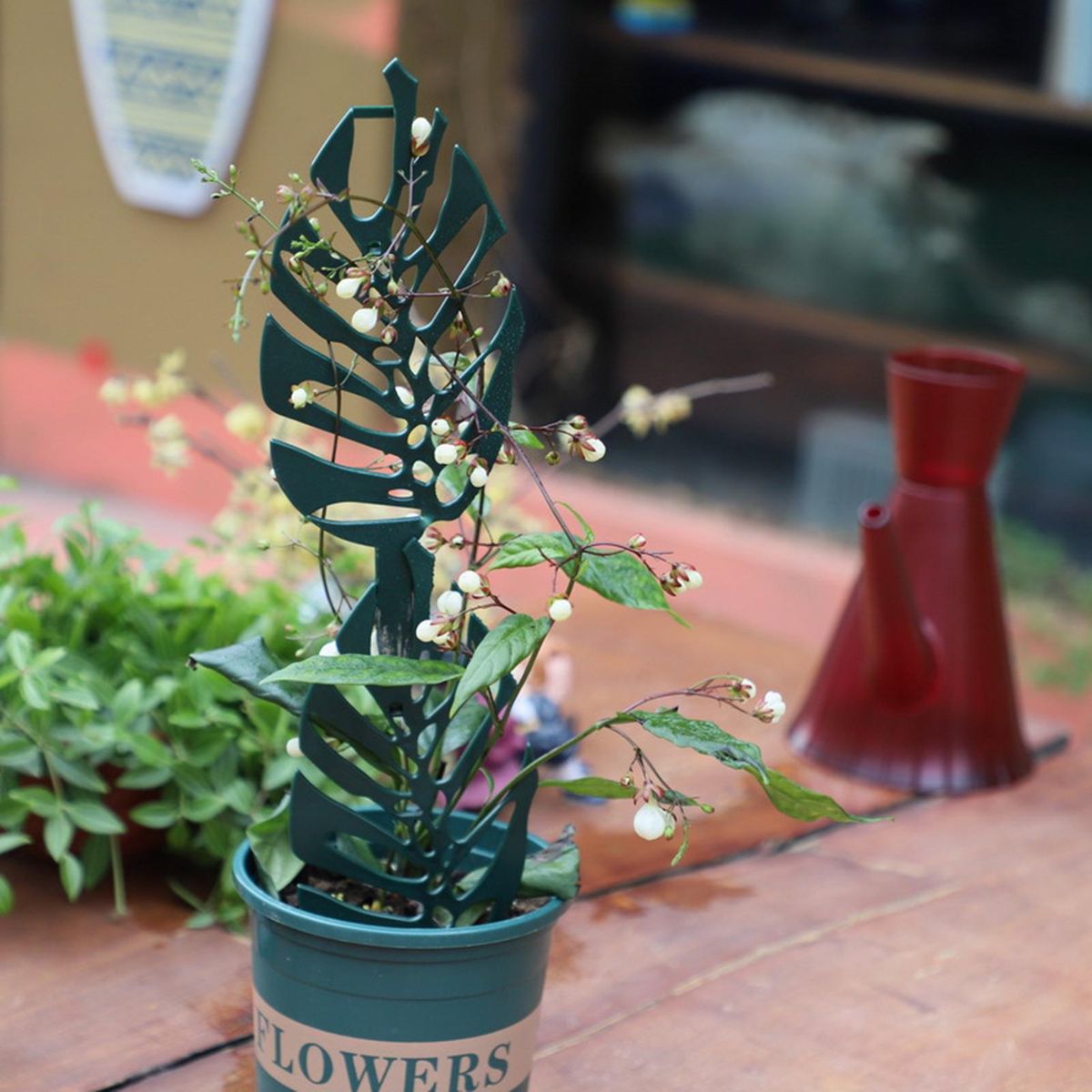 Plants Vine Support Decorative Potted Plants Climbing Holder