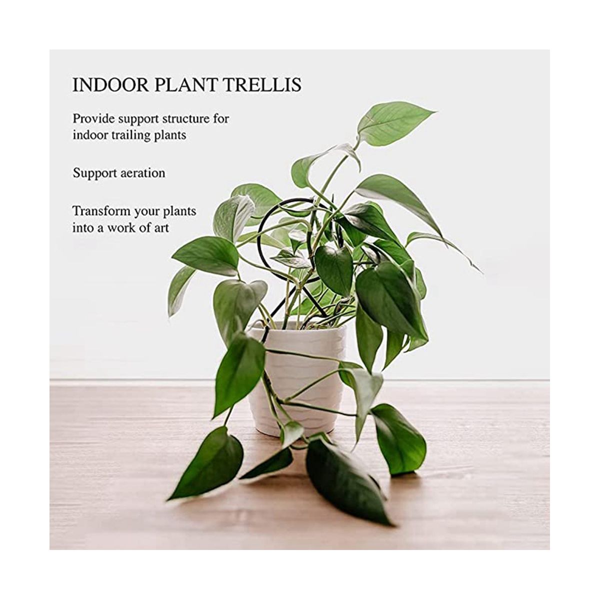 4 Pcs Small Plants Trellis for Potted Plants,Smal