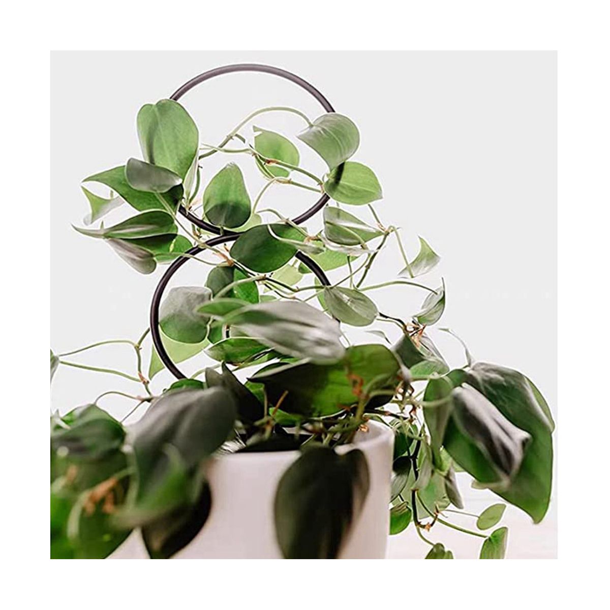 4 Pcs Small Plants Trellis for Potted Plants,Smal