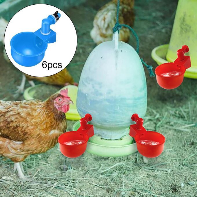 6 Pieces Birds Chicken Drinkers Cups Waterers Coop Ducks Pigeon Blue