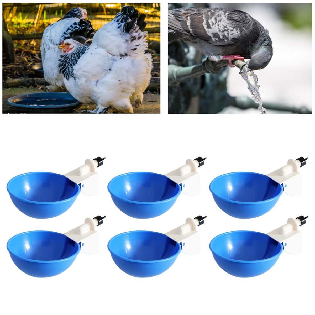 6 Pieces Automatic Birds Quail Chicken Drinkers Cups, Poultry Blue