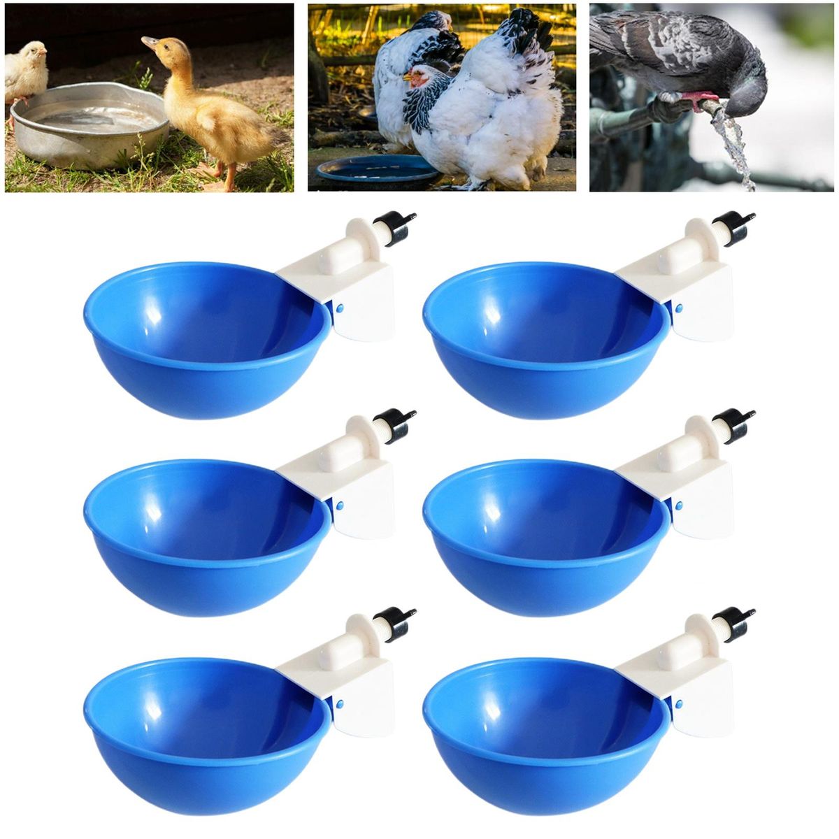 6 Pieces Automatic Birds Quail Chicken Drinkers Cups, Poultry Blue