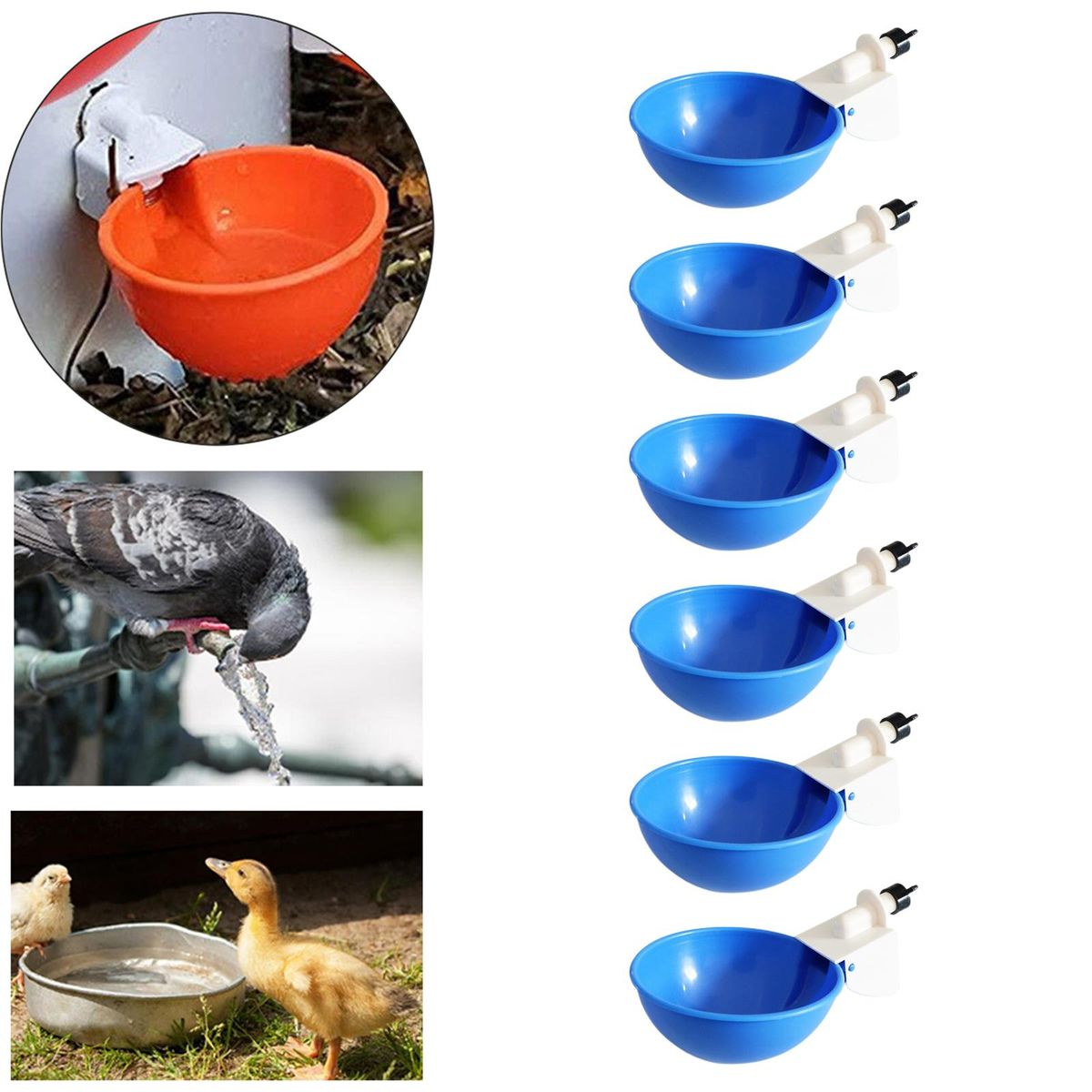6 Pieces Automatic Birds Quail Chicken Drinkers Cups, Poultry Blue