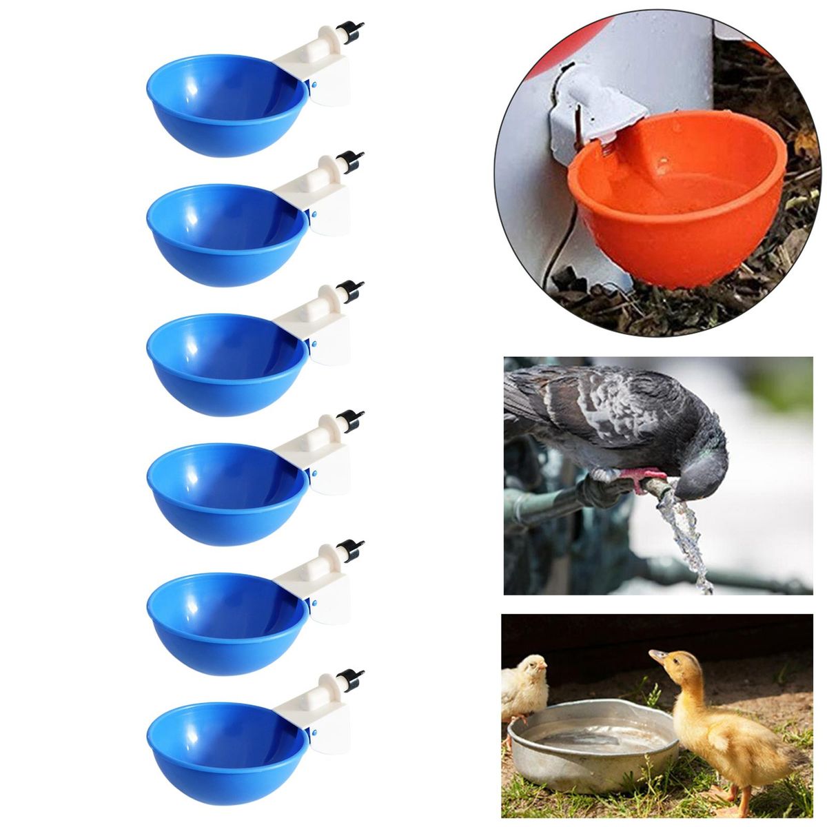6 Pieces Automatic Birds Quail Chicken Drinkers Cups, Poultry Blue