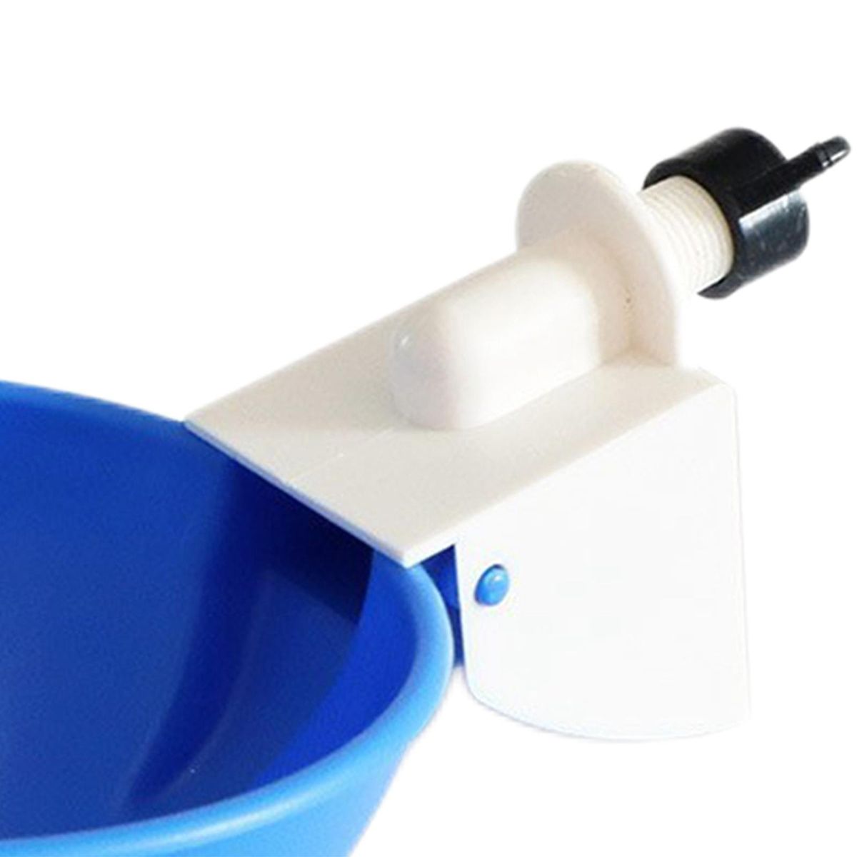 6 Pieces Automatic Birds Quail Chicken Drinkers Cups, Poultry Blue