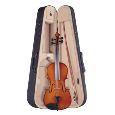 Professional Viola with Case and Bow