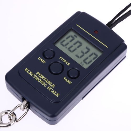 10g Mini Digital Fishing Scale Travel Weighting