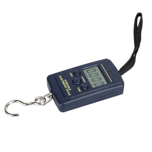 10g Mini Digital Fishing Scale Travel Weighting