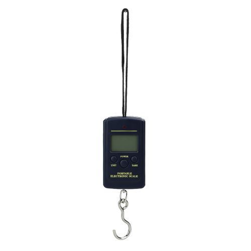 10g Mini Digital Fishing Scale Travel Weighting