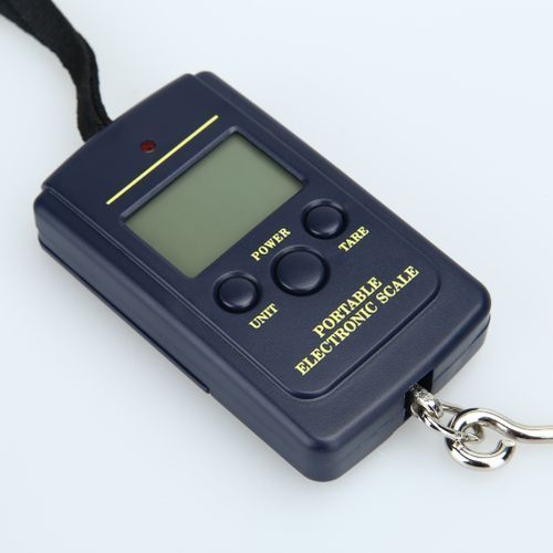 10g Mini Digital Fishing Scale Travel Weighting