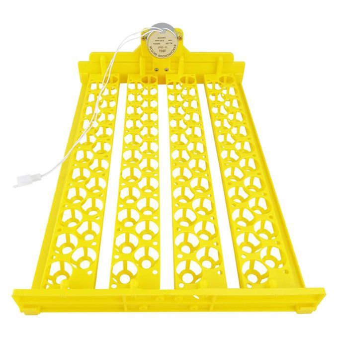 Mini Incubator 88 Eggs Poultry With Motor Brooder Automatic AC 12V