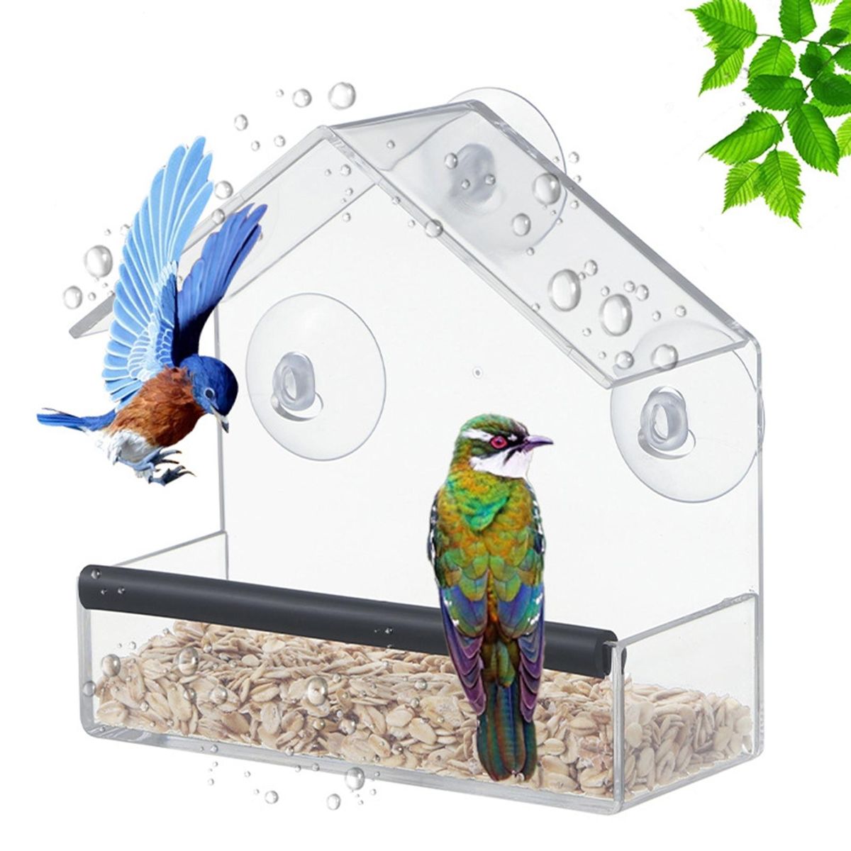 Exquisite Workmanship Bird Feeder View Bird Feeder Easy-clean Acrylic Clear