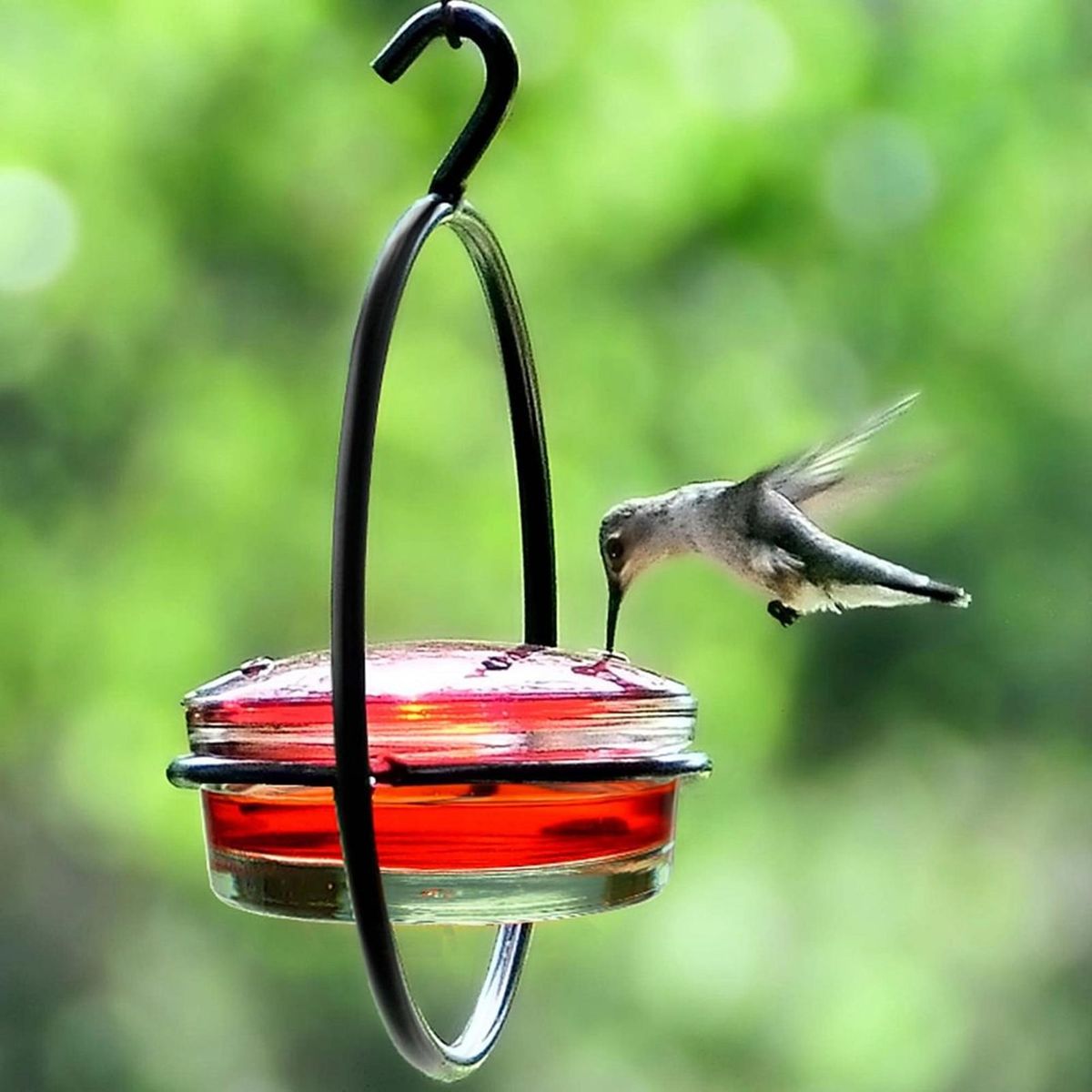 Patio Bird Feeder Easy-fill Hummingbird Feeder Capacity Leak-proof Black