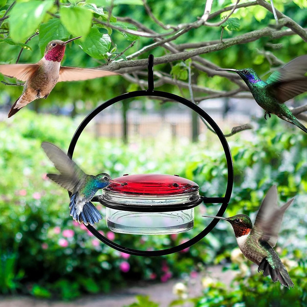 Patio Bird Feeder Easy-fill Hummingbird Feeder Capacity Leak-proof Black