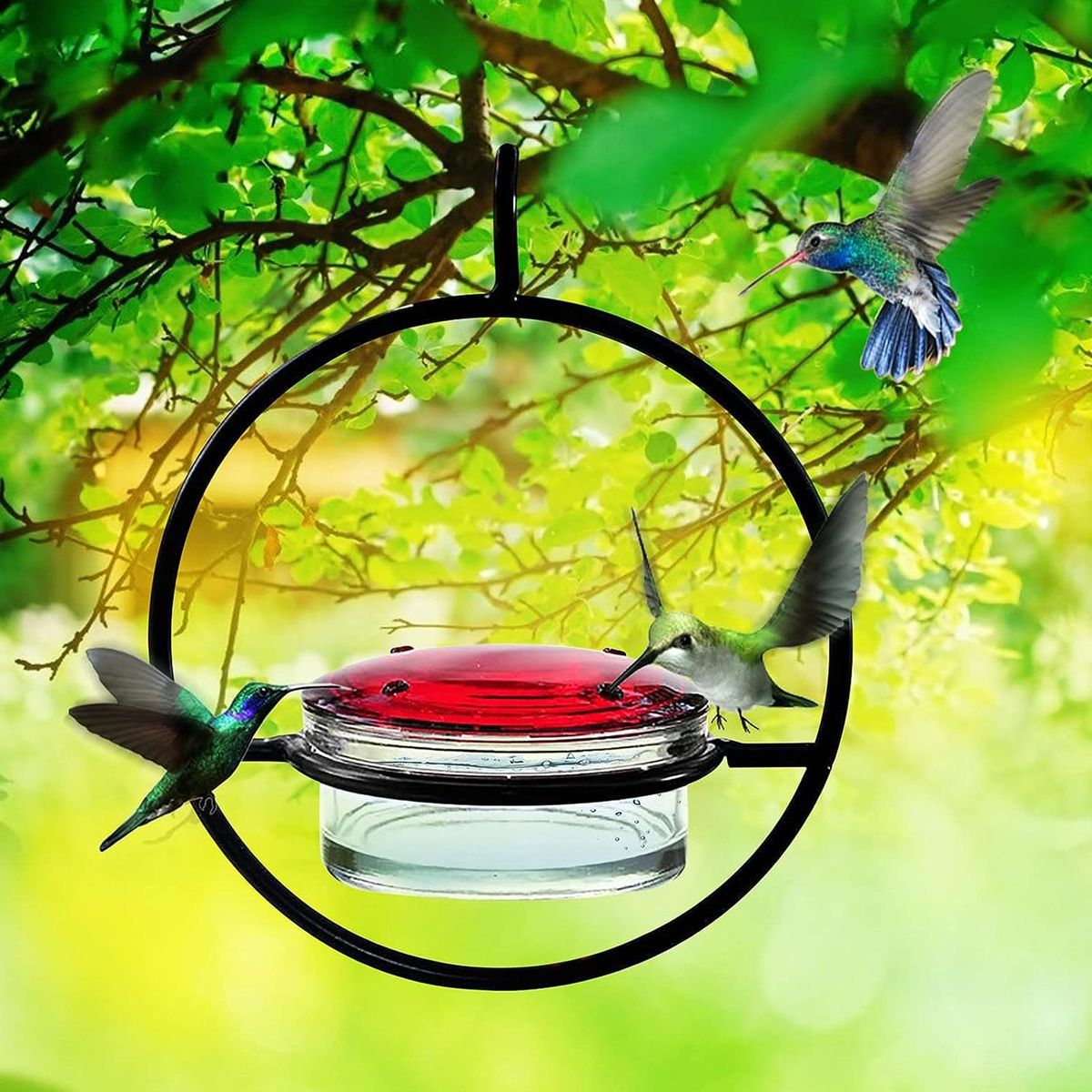 Patio Bird Feeder Easy-fill Hummingbird Feeder Capacity Leak-proof Black